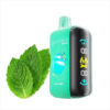 Raya D3 25000 Puffs - Alpine Mint