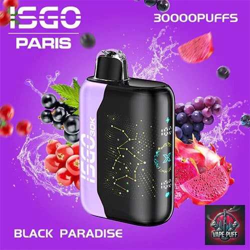 Black Paradise Flavor of Isgo Bar Paris X 30000 Puffs, Vape Puff Dubai
