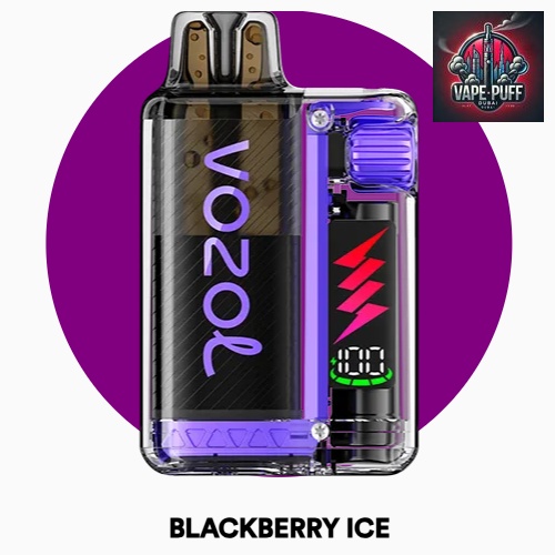 Blackberry Ice Flavor of Vozol Vista Plug 10000 Puffs, Vape Puff Dubai