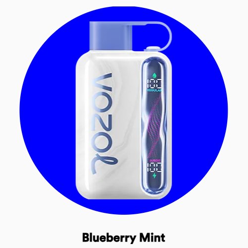 Blueberry Mint-Vozol Star 40000 Puffs, Vape Puff Dubai