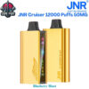 JNR Cruiser 12000 Puffs 50MG Blueberry Blast Disposable Vape in Dubai UAE