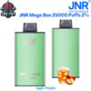 JNR Mega Box 25000 Puffs 20MG Apple Mojito Disposable Vape in Dubai UAE JNR Mega Box 25000 Puffs 20MG Apple Mojito Disposable Vape in Dubai UAE