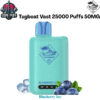 Tugboat Vast 25000 Puffs 50MG Blueberry Ice Disposable Vape in Dubai UAE Tugboat Vast 25000 Puffs 50MG Blueberry Ice Disposable Vape in Dubai UAE
