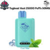 Tugboat Vast 25000 Puffs 50MG Cool Mint Disposable Vape in Dubai UAE Tugboat Vast 25000 Puffs 50MG Cool Mint Disposable Vape in Dubai UAE